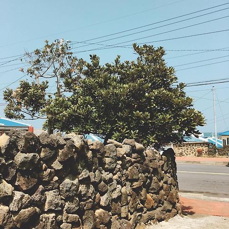 Shanti Shanti Guest House Jeju Exterior foto